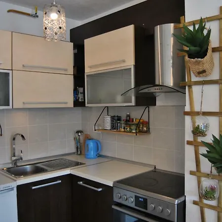 Διαμέρισμα Vucko *